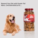 Mutton Flavour Dog Biscuits | Healthy Crunchy Treats for Puppies & Adult Pets | Suitable for All Breeds | Total 910 g Pack (Buy 455 g & Get 455 g Free) - Image 3