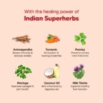 Hearty by HUFT Lamb & Blueberry Dry Dog Food – 250 gm | Adult Dog Food with Superfoods | Oven-Baked Kibble | Complete & Balanced Pet Nutrition | No Artificial Flavours or Fillers - Image 4