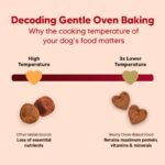 Hearty by HUFT Lamb & Blueberry Dry Dog Food – 250 gm | Adult Dog Food with Superfoods | Oven-Baked Kibble | Complete & Balanced Pet Nutrition | No Artificial Flavours or Fillers - Image 6