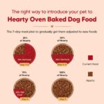 Hearty by HUFT Lamb & Blueberry Dry Dog Food – 250 gm | Adult Dog Food with Superfoods | Oven-Baked Kibble | Complete & Balanced Pet Nutrition | No Artificial Flavours or Fillers - Image 9