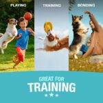 JerHigh Real Chicken Food Treat Spinach, Blueberry, Carrot, Strawberry, Milk, Banana Flavor 6 Pack Combo Set 70G for Dogs by Dogsncats, All Life Stages - Image 4