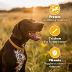 Pedigree Biscrok Biscuits (Above 4 Months) Dog Treats, Chicken with Milk Flavour, 900 g, Source of Calcium, Goodness of 15% Protein - Image 4