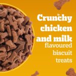 Pedigree Biscrok Biscuits (Above 4 Months) Dog Treats, Chicken with Milk Flavour, 900 g, Source of Calcium, Goodness of 15% Protein - Image 6