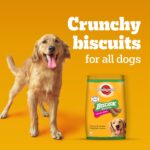 Pedigree Biscrok Biscuits (Above 4 Months) Dog Treats, Chicken with Milk Flavour, 900 g, Source of Calcium, Goodness of 15% Protein - Image 9