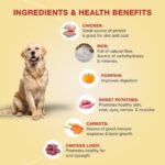 Benny's Bowl Fresh & Wet Dog Food - Chicken & Rice - 5 Packs x 300 G | Gently Cooked, Protein-Rich Wet Food | & All-Natural Formula,All Life Stages - Image 3