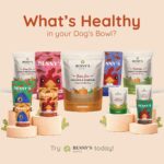 Benny's Bowl Fresh & Wet Dog Food - Chicken & Rice - 5 Packs x 300 G | Gently Cooked, Protein-Rich Wet Food | & All-Natural Formula,All Life Stages - Image 4