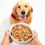 Benny's Bowl Fresh & Wet Dog Food - Chicken & Rice - 5 Packs x 300 G | Gently Cooked, Protein-Rich Wet Food | & All-Natural Formula,All Life Stages - Image 5