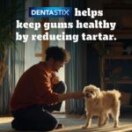 Pedigree Dentastix Oral Care Dog Treat, Adult Medium Breed (10-25 kg), 180 g, Recommended by Vets, Supports Gum Health, Reduces Risk of Gum diseases - Image 3