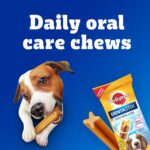 Pedigree Dentastix Oral Care Dog Treat, Adult Medium Breed (10-25 kg), 180 g, Recommended by Vets, Supports Gum Health, Reduces Risk of Gum diseases - Image 6