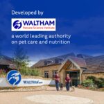 Pedigree Dentastix Oral Care Dog Treat, Adult Medium Breed (10-25 kg), 180 g, Recommended by Vets, Supports Gum Health, Reduces Risk of Gum diseases - Image 11