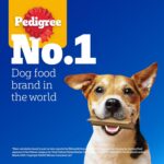 Pedigree Dentastix Oral Care Dog Treat, Adult Medium Breed (10-25 kg), 180 g, Recommended by Vets, Supports Gum Health, Reduces Risk of Gum diseases - Image 12