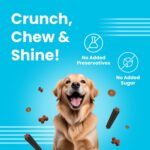 BARK OUT LOUD By Vivaldis - Dog Treats Combo Of Dental Sticks, Coatiez Soft Chews And Chicken Swirls - Sugar-Free Pet Food, Suitable For All Life Stages Of Dogs, 310 Gram - Image 3