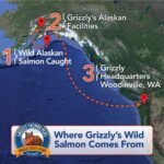 Grizzly Salmon Oil All-Natural Dog Food Supplement in Pump-Bottle Dispenser 32 Ounces - Image 4