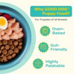 Good Dog Puppy Dry Dog Food | Oven Baked | Fresh Chicken & Eggs | 300g (Pack of 2) | Palatable Meal for Healthy Growth, Strong Bones, Immunity & Digestion | Puppy Food for All Breeds - Image 3