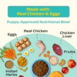 Good Dog Puppy Dry Dog Food | Oven Baked | Fresh Chicken & Eggs | 300g (Pack of 2) | Palatable Meal for Healthy Growth, Strong Bones, Immunity & Digestion | Puppy Food for All Breeds - Image 4