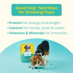 Good Dog Puppy Dry Dog Food | Oven Baked | Fresh Chicken & Eggs | 300g (Pack of 2) | Palatable Meal for Healthy Growth, Strong Bones, Immunity & Digestion | Puppy Food for All Breeds - Image 5