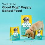 Good Dog Puppy Dry Dog Food | Oven Baked | Fresh Chicken & Eggs | 300g (Pack of 2) | Palatable Meal for Healthy Growth, Strong Bones, Immunity & Digestion | Puppy Food for All Breeds - Image 8