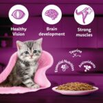 Whiskas Junior Kitten (2-12 Months) Wet Cat Food, Tuna in Jelly, 80 g (Pack of 14), Hydrating Food Made With Real Fish, 100% Complete & Balanced Nutrition for Kittens - Image 6