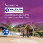 Whiskas Junior Kitten (2-12 Months) Wet Cat Food, Tuna in Jelly, 80 g (Pack of 14), Hydrating Food Made With Real Fish, 100% Complete & Balanced Nutrition for Kittens - Image 12