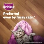 Whiskas Junior Kitten (2-12 Months) Wet Cat Food, Tuna in Jelly, 80 g (Pack of 14), Hydrating Food Made With Real Fish, 100% Complete & Balanced Nutrition for Kittens - Image 14