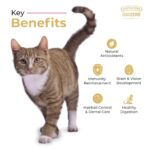 Grain Zero Adult Dry Cat Food 20kg | Ocean Fish, Sardine & Mackerel | 48% Fresh Fish Inclusion, No Grain Formula, Gluten-Free | Promotes Healthy Skin & Coat | All Breeds - Image 4