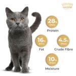 Grain Zero Adult Dry Cat Food 20kg | Ocean Fish, Sardine & Mackerel | 48% Fresh Fish Inclusion, No Grain Formula, Gluten-Free | Promotes Healthy Skin & Coat | All Breeds - Image 6