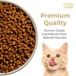 Grain Zero Adult Dry Cat Food 20kg | Ocean Fish, Sardine & Mackerel | 48% Fresh Fish Inclusion, No Grain Formula, Gluten-Free | Promotes Healthy Skin & Coat | All Breeds - Image 8