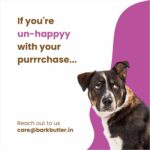 Barkbutler x Dogfest Chicken Fillet Bars|Dog Treats for Adult dog-90g|Dog Stick with 0% Artificial Colors, Flavors & Preservatives | #1 Ingredient is Meat | Human-Grade | for All Adult Breeds - Image 6