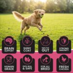 Dr. Pets Pack of 2 Treetos Dog Treats for Adult Dogs & Puppies 85g Chicken Sticks Dog Chew Stick Soft Puppy Treats Super Strawberry Pet Food “Dr. Pet – The Trusted Choice of Indian Pets.” - Image 3