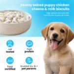 Nootie Milk Puppy Biscuits - Milk & Cheese Flavoured Treats for Puppies | Calcium-Rich, Highly Digestible & Nutritious | Suitable for All Breeds | 900g (Pack of 2) - Image 3