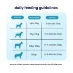 Nootie Milk Puppy Biscuits - Milk & Cheese Flavoured Treats for Puppies | Calcium-Rich, Highly Digestible & Nutritious | Suitable for All Breeds | 900g (Pack of 2) - Image 5