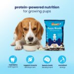 Nootie Milk Puppy Biscuits - Milk & Cheese Flavoured Treats for Puppies | Calcium-Rich, Highly Digestible & Nutritious | Suitable for All Breeds | 900g (Pack of 2) - Image 6