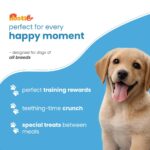 Nootie Milk Puppy Biscuits - Milk & Cheese Flavoured Treats for Puppies | Calcium-Rich, Highly Digestible & Nutritious | Suitable for All Breeds | 900g (Pack of 2) - Image 7