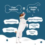 BLEP Chicken Rice Natural Dog Food 100g | 1 Pack | Zero Preservatives|Aids Joint Health & Digestion|Collagen Rich| Human Grade, Natural Wet Dog Food|Ideal for All Breeds - Image 3