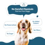 BLEP Chicken Rice Natural Dog Food 100g | 1 Pack | Zero Preservatives|Aids Joint Health & Digestion|Collagen Rich| Human Grade, Natural Wet Dog Food|Ideal for All Breeds - Image 4