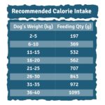 BLEP Chicken Rice Natural Dog Food 100g | 1 Pack | Zero Preservatives|Aids Joint Health & Digestion|Collagen Rich| Human Grade, Natural Wet Dog Food|Ideal for All Breeds - Image 7