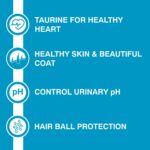 Purepet Kitten (1-12 Months) Dry Cat Food 3kg Pack | Ocean Fish Flavour | Taurine for Healthy Heart | Hairball Control |Support Immunity | Sensitive Stomach - Image 5