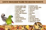 The Birds Company All Life Stages Exotic Seed Blend of 20 Grains & Exotic Nuts, Fortified with Spirulina & Cuttlefish Bone, Bird Food for Medium Parrots, African Grey, Conures, Eclectus, 450 g - Image 3