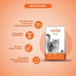 Grain Zero Adult Dry Cat Food 1.2kg + 75g Creamy Treat (Free) | Mackerel | 48% Fresh Fish Inclusion, No Grain Formula, No Gluten | Promotes Healthy Skin & Coat | All Breeds - Image 3