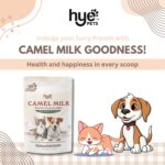HYE Pets Full Fat Camel Milk Powder for Dogs & Cats | 200g - Image 3