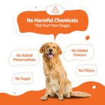 BLEP Fresh Dog Food (Wet) Human Grade, Grain Free|Paneer, Quinoa & Mixed Veggies|Omega 3, 6, Vitamin A, D, E, B|Zero Preservatives & Sugar|Easily Digestible|for All Dog Breeds|2.1kg (21 Pack of 100g) - Image 4