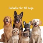 Fullr Skin & Coat Dog Biscuits for All Life Stages, Dog Treats Made with Salmon, Egg & Flaxseed, Healthy Dog Treats Made with Superfoods, Suitable for All Dog Breeds, 70g, Pack of 1 - Image 7