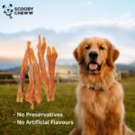 Assorted Tendon Dog Treats | 100% Natural, High-Protein, Low Fat | Healthy & Delicious Long-Lasting Chews | Perfect Snack for All Dog Sizes - Image 3