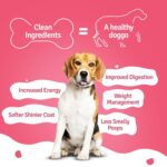 BLEP Chicken Brococli Pawer 2.1kg (21 Pack of 100g)-Chicken Breast,Broccoli,Fresh Vegetables|Easily Digestible, Zero Preservatives|Gravy Food for All Age Dogs|Natural,Human Grade|Fresh Dog Food (Wet) - Image 3