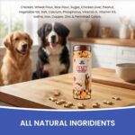 Dr.Pets Bistik Dog Food Treat - Dog Biscuits for Adult Dog & Puppy, Gluten Free Healthy Treats with Fresh & Natural Ingredients, Chicken Peanuts Flavor 450g Pack of 1 - Image 3