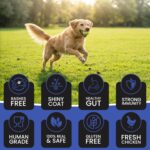 Dr.Pets Bistik Dog Food Treat - Dog Biscuits for Adult Dog & Puppy, Gluten Free Healthy Treats with Fresh & Natural Ingredients, Chicken Peanuts Flavor 450g Pack of 1 - Image 4