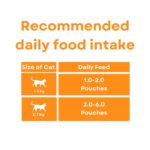 PETS EMPIRE Moochie Tasty Wet Cat Food (85 g X 6 Pouches) Mousse with Salmon, Grain Free Cats Gravy Meal, No Artificial Flavours Kitten Food, Non-Vegetarian Cat Foods Pouch for Kittens - Image 5