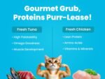 Bark Out Loud Wet Cat Food - Fresh Tuna & Chicken Mousse with Salmon Oil, Taurine & Omega Goodness - Protein-Rich Gravy Feast for Adult Cats, All Breeds, No Preservatives - Pack of 12 (85gmX12) - Image 4