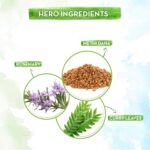 Mamaearth Rosemary & Methi Dana Hair Oil - Promotes Growth, Controls Fall, Strengthens & Stimulates New Growth | 200 ml - Image 3