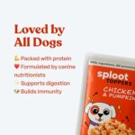 Wet Dog Food Adult, Gravy Toppers, Real Chicken Chunks in Gravy, Dog Food Puppy, All Life Stages, Healthy, Fresh, No Preservatives and Chemicals, 12 x 100g - Image 4